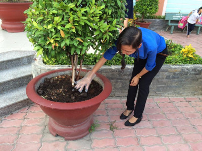 Đoàn viên thanh niên Trường TH Phú Hoà 3 trồng và chăm sóc cây xanh trong khuôn viên trường học
