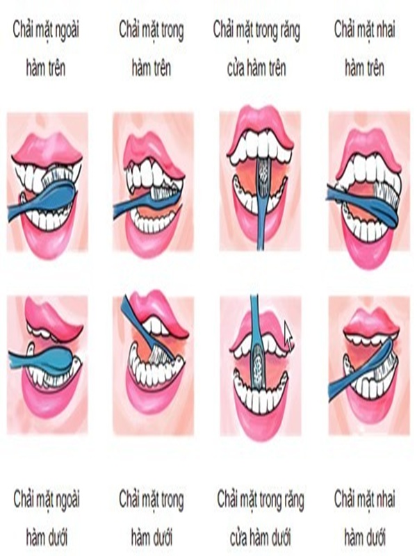 Trường Phú Hòa 3 tuyên truyền phòng chống các bệnh răng miệng cho học sinh